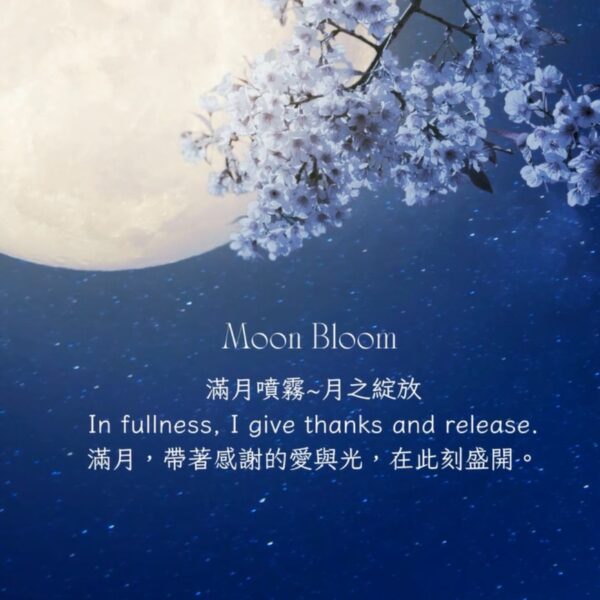 滿月＿月之綻放(即將發售)