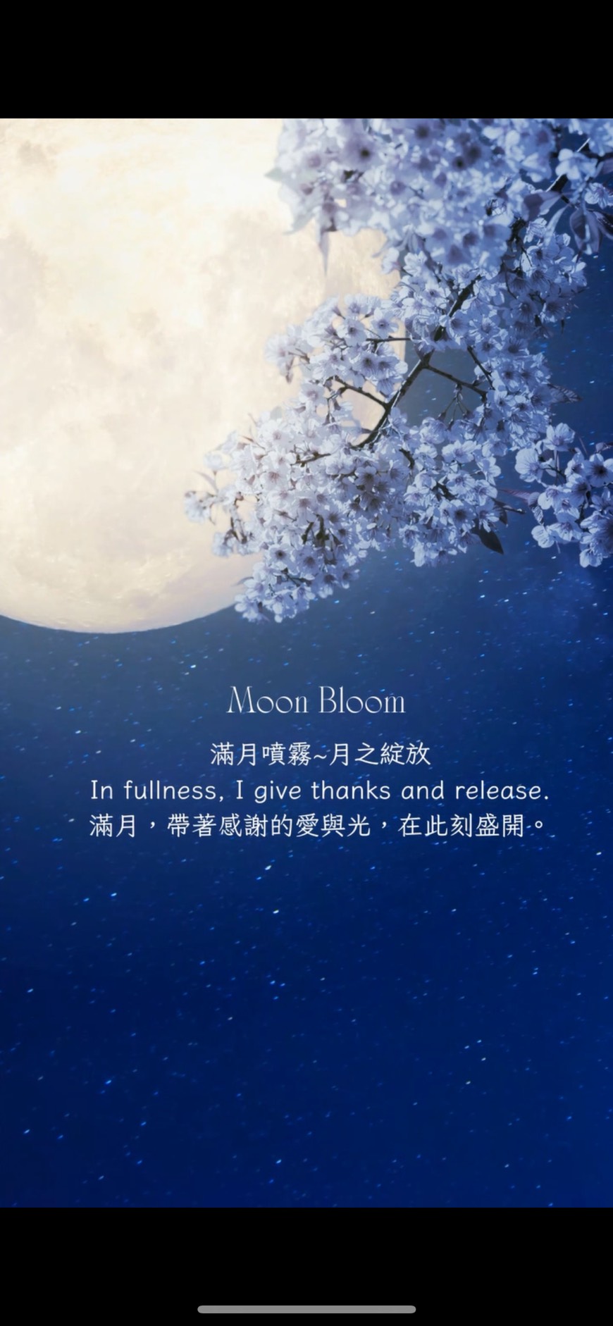 滿月＿月之綻放(即將發售)