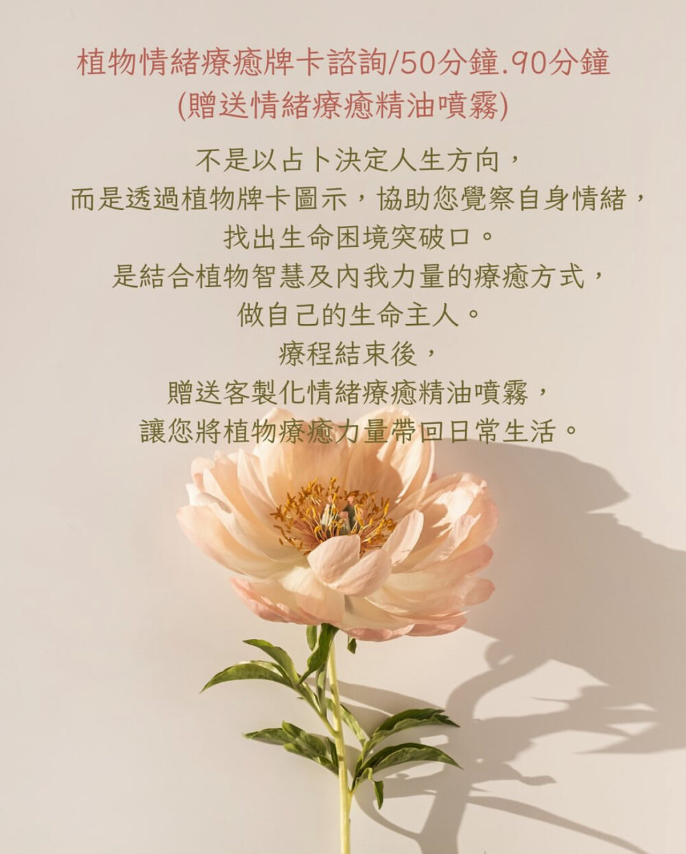 精油牌卡諮詢