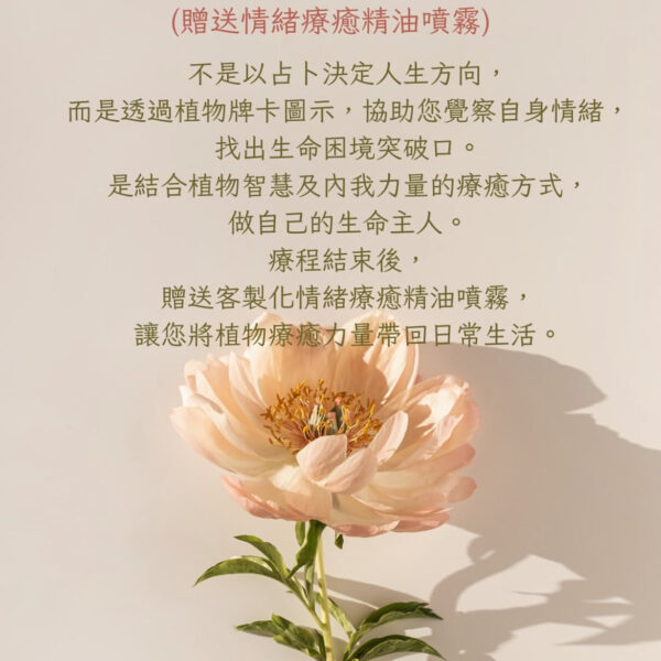 精油牌卡諮詢